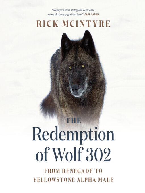 Title details for The Redemption of Wolf 302 by Rick McIntyre - Available